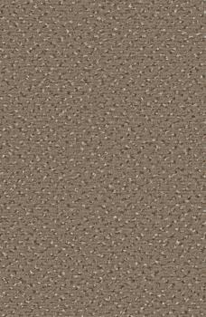 Preview: Rechteckbild vom Alexis